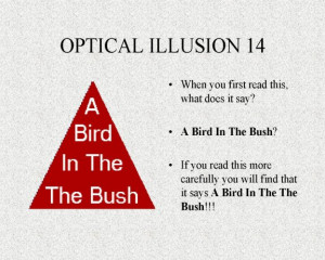 An optical illusion – Mind illusion