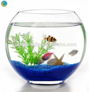 oblique glass fish bowl/glass fish tank