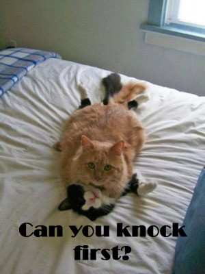 Can you knock first ; shows what can happen when you don’t close the ...