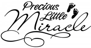 Precious Little Miracle Baby Decor vinyl wall decal quote sticker ...