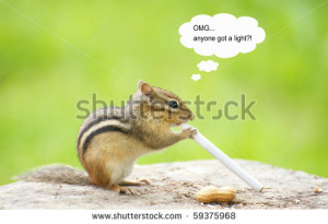 chipmunk who has found a cigarette with a thought balloon and ...