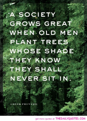 Quotes About Old Trees. QuotesGram