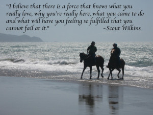 horse-in-surf-quote