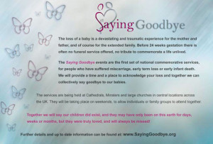 Funny Quotes Contact Us DMCA Notice