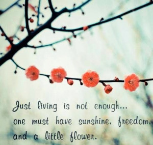 Flower quote via Carol's Country Sunshine on Facebook