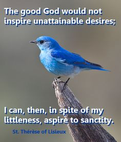 The good God would not inspire unattainable desires; I can, then, in ...