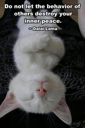 Do not let the behavior of others destroy your inner peace. Dalai Lama ...