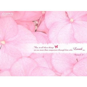 Pink Hydrangea Bible Verses - Flower, Bible Verses, Floral Art