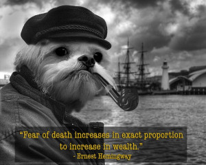 Fear of death increases in exact proportion to increase in wealth ...