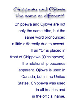 Anishinabe [the Original People, or People Lowered onto Earth, or ...