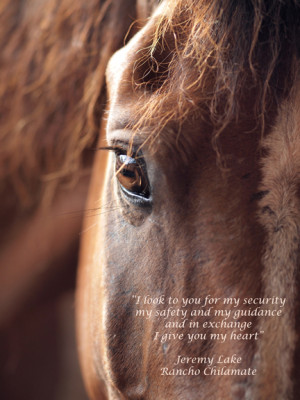 Inspirational Horse Quotes from Rancho Chilamate and Out of the Blue ...