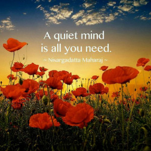Quiet Minds Quote