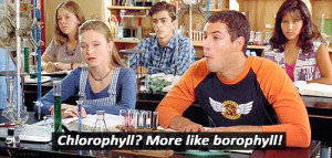 Billy Madison: Chlorophyll? More like BOREophyll.