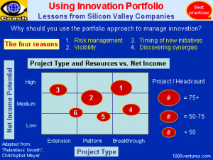 INNOVATION STRATEGY - Best Practices of Silicon Valley Firms: Using ...