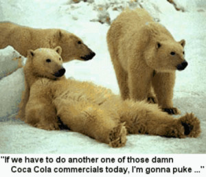 funny bored polar bears funny bored polar bears