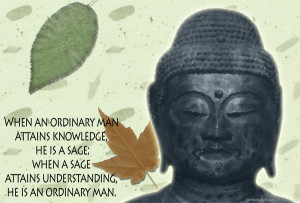 Sage Wisdom Wallpaper by zephyrofgod