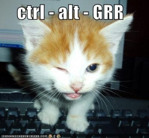 aww, cat, geek, lolcat, lolcats, lovely, text