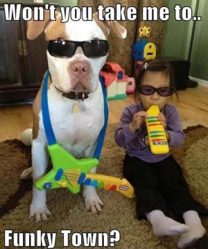 Funny dog and kid