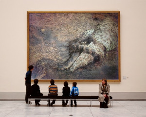 funny anaconda pictures