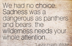 http://quotespictures.com/we-had-no-choice-sadness-was-a-dangerous-as ...