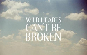 wild hearts can't be broken