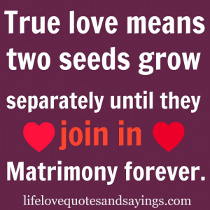 True Quotes About Love And Life: True Love Means Two Seeds Grow ...