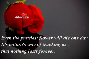 Even-the-prettiest-flower-will-die-160x120.jpg