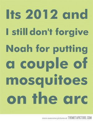 Funny photos funny Noah ark quote bible