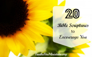 20 Bible Scriptures to Encourage You
