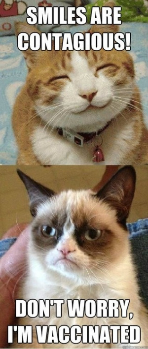 Source: http://www.tumblr.com/tagged/tard+the+grumpy+cat Like
