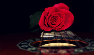 So Close Yet So Far Away Quotes