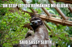 Related Sassy Sloth