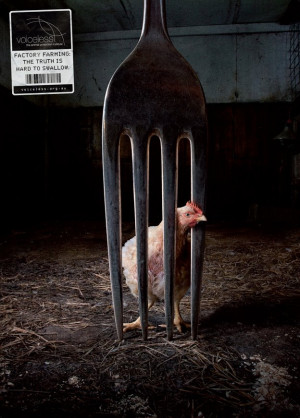 ... vegan animal welfare go vegan voiceless factory farming me and mine