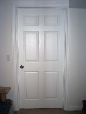 White Door Kiwirose Stock