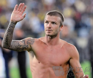 明星纹身爱用拉丁语 粉丝追捧学语言(图)