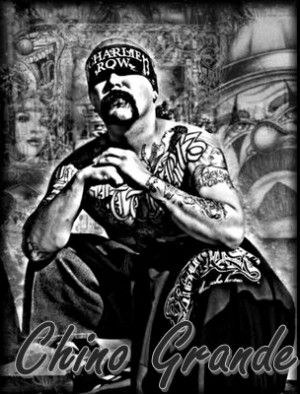 All Graphics » chino