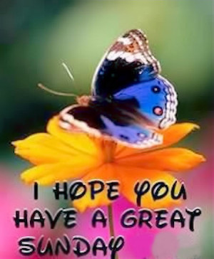 66337-Have-A-Great-Sunday.jpg#great%20Sunday%20450x547