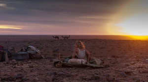 ... Tracks, about Robyn Davidson’s epic camel trek. Source: Supplied