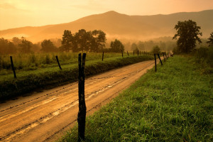 Old Dirt road Sunset Image
