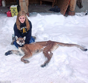 Fearless: Shelby White, 11, is posing with a cougar she shot dead last ...