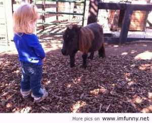Little+Girls+and+Horse+Quotes | Little girl meeting a duck-sized horse ...
