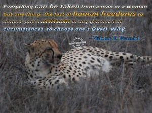 http://www.comments123.com/quotes/attitude-quotes/human-freedom/