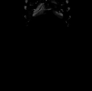 gif love art gifs Black and White hot beautiful weird b&w Grunge skull ...