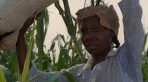 15 Most Memorable Quotes From ‘The Color Purple’