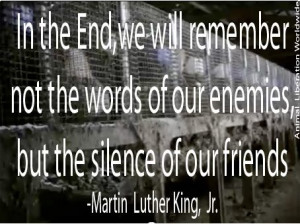 In the end, we will remember not the words of our enemies, but the ...