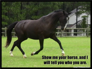 Free Quotes Pics on: Funny Horse Quotes