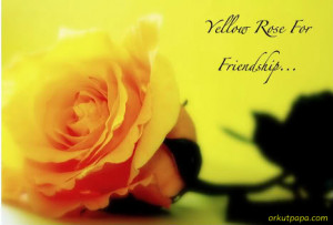 Yellow Rose Friendship Quotes