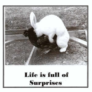 Life Is Full Of Unexpected Surprises Quotes