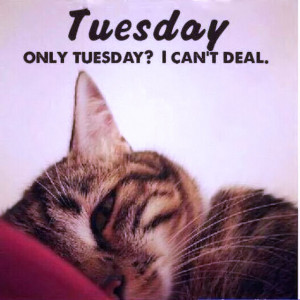 Only Tuesday