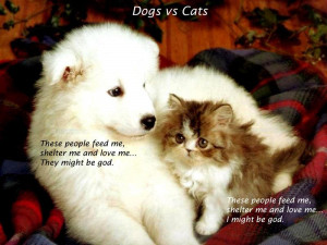 Telugu Photo Messages | Mobiles Picture messages | Telugu Quotes